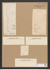 Diatomeae indet. Zeichnungen Sammlung Grunow Nr. 2598 (NHMW-BOT-W0369791)